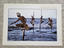 Bellissima fotografia di Steve