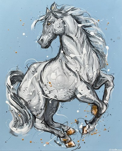 Cavallo tela blu - cavallo,
