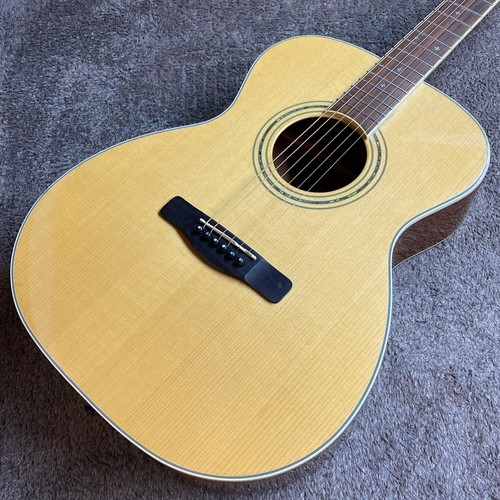 Greg bennett guitar asom - greg,