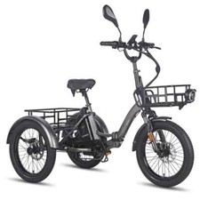 Triciclo elettrico Fafrees F20
