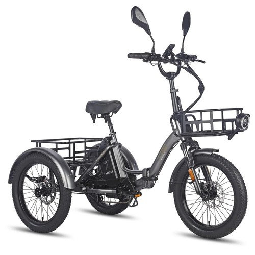 Triciclo elettrico fafrees f20 - triciclo,