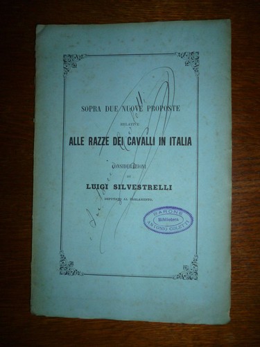 Luigi silvestrelli sopra due - luigi,