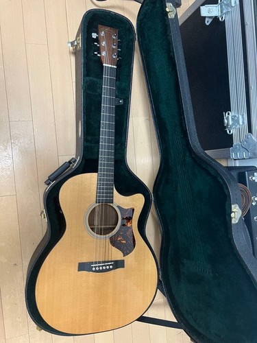 Chitarra elettrica acustica