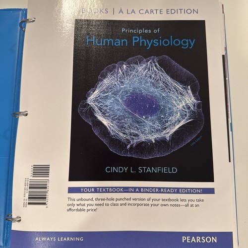 Principles human - principles, of