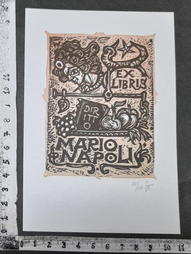 Wunderkammer exlibris 1155 - exlibris,