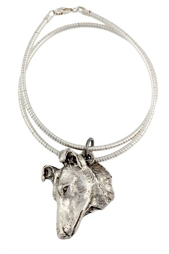 Cane pastore scozzese pelo - cane,