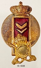 REGIO ESERCITO FANTERIA