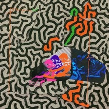 Tangerine Reef by Animal Collective [VINYL]