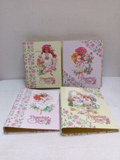 4 QUADERNI RACCOGLITORI AD ANELLI A5 PEPPERMINT ROSE Scuola Vintage Cancelleria