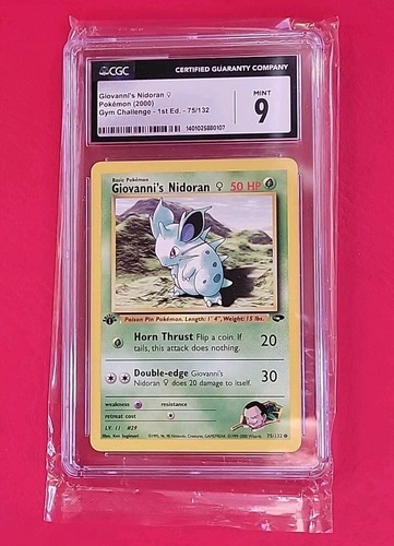 Pokemon sfida palestra 2000 - palestra,