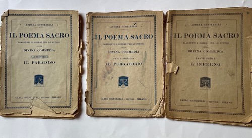 Poema sacro riassunti - riassunti, e