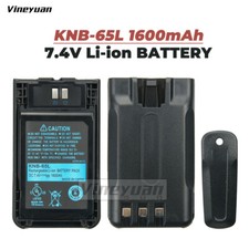 Batteria agli ioni di litio