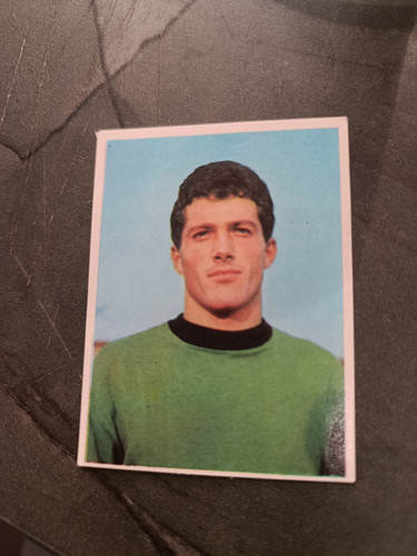 1966 imperia calciatori - imperia,
