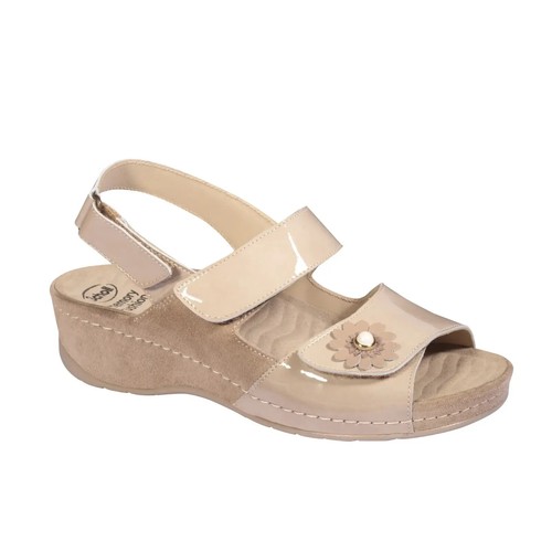 Scholl domitilla - dr,