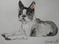 Quadro cane a matita e