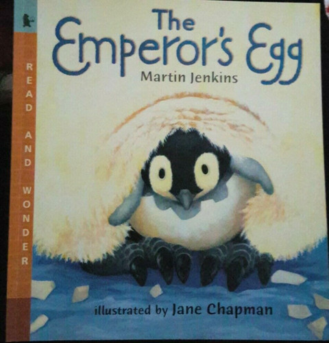 Emperor egg - egg, (read