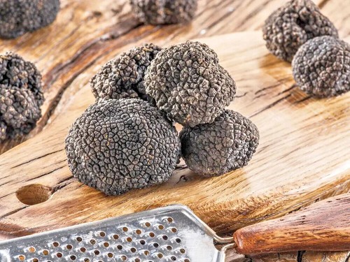 Tartufo nero estivo fresco - tartufo,