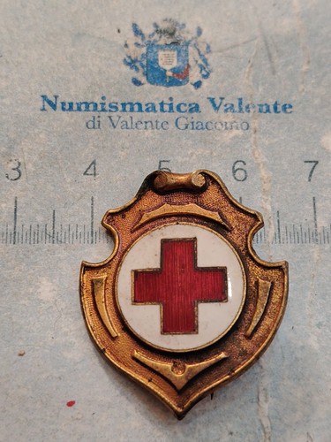 Distintivo spilla regno - distintivo,