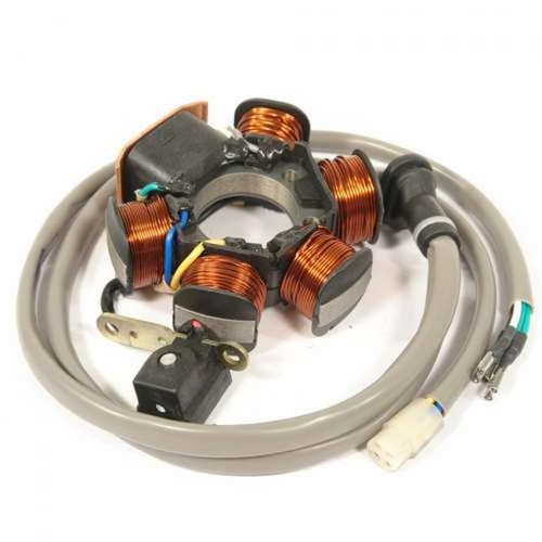 V833300109 statore bergamaschi - statore,