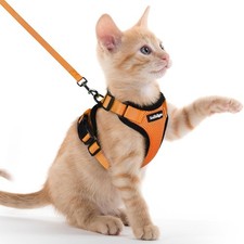 rabbitgoo Pettorina Gatto