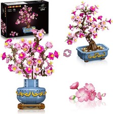 Bonsai ciliegio set - bonsai, di