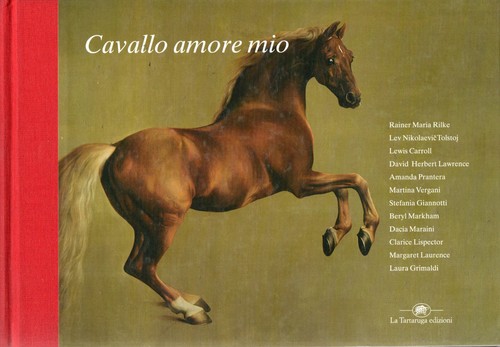 Cavallo amore mio tartaruga - amore,
