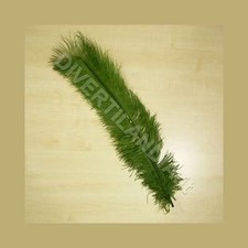 PIUMA DI STRUZZO COLORE VERDE