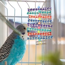  Grandi Giocattoli Per Pappagalli Giocattolo Da Masticare Uccelli