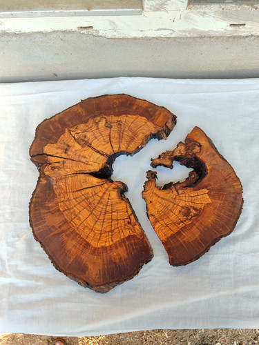 Burl legno ulivo grezzo - in,