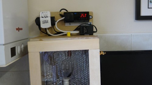 Termostato per rettili - per,