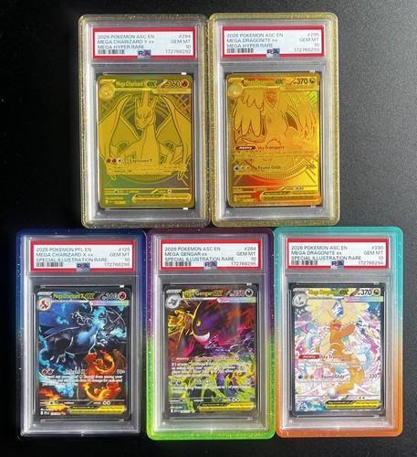 Pokémon collezione - pokémon,