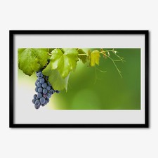 Arte da parete con cornice in legno moderno MDF 70x50 Uva Decorazione