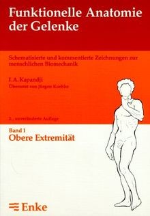 Funktionelle anatomie der - funktionelle,