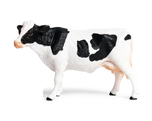 Mini mucca toro - 12,5, bue