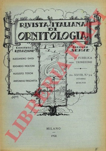 Rivista italiana - italiana, di