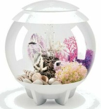 ACQUARIO HALO 30 MCR BIANCO