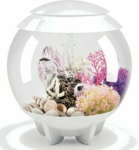 Acquario halo mcr - acquario, bianco