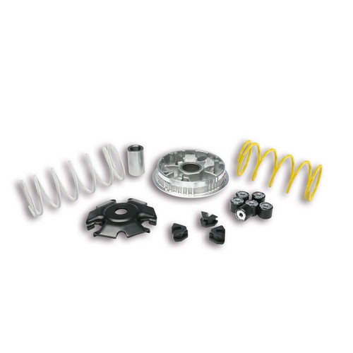 Variatore malossi multivar - variatore,