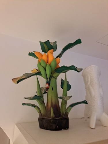 Pianta legno banano - pianta,