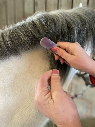 Smart grooming pro tagliabordi - smart,