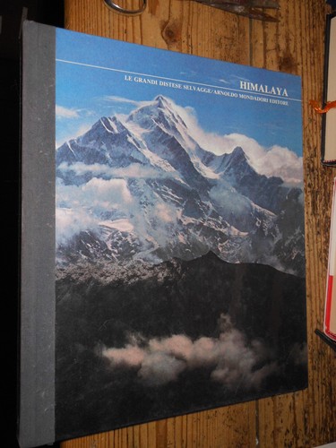 Himalaya grandi distese - himalaya,
