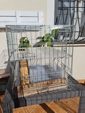 Gabbia per Cani Trasporto Trasportino Auto Cane Animali Gabbia per Conigli 