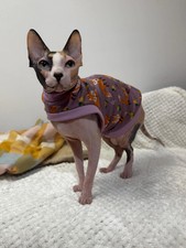 Sphynx T-Shirt Maglione Pile