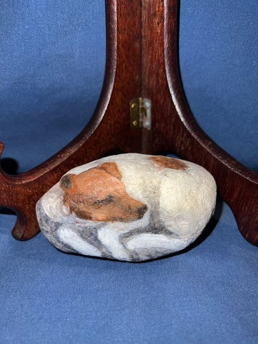 Jack russell terrier roccia - russell,