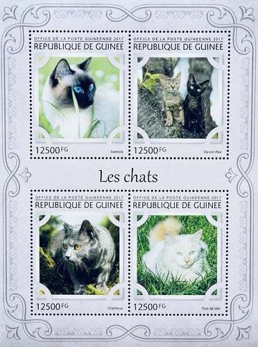 Francobolli gatti cavia 2017 - cavia,