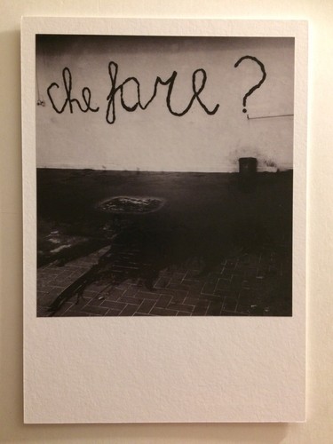 Claudio abate private view - claudio, abate,