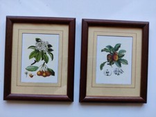 Coppia di quadri per cucina