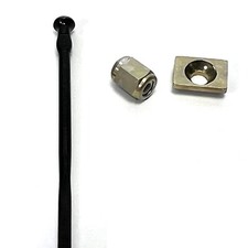 Raggio posteriore destro