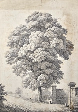 Scuola Europea del XIX Antique Print stampa Paesaggio con Albero Epoca Antica