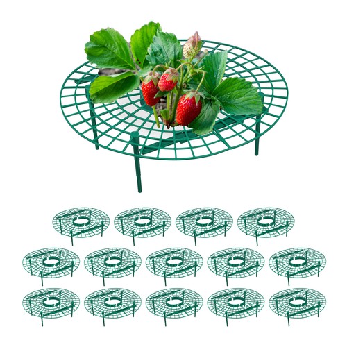 Set anelli sostegno fragole - set,